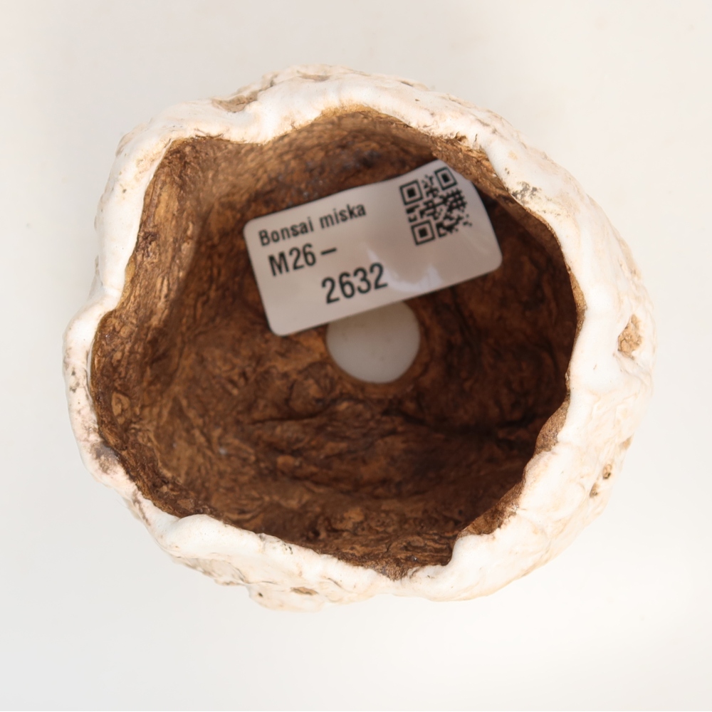 Coquille en céramique  7,5 x 7 x 6,5 cm, couleur blanche