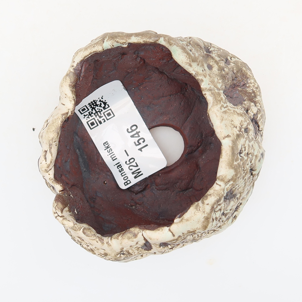 Coquille en céramique  7 x 6 x 6 cm, couleur brun-blanc