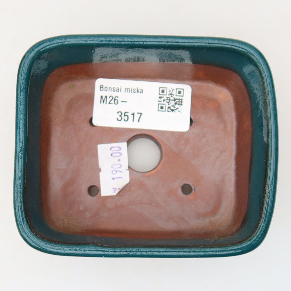 Pot à bonsaï en céramique 10 x 8 x 3,5 cm, couleur verte