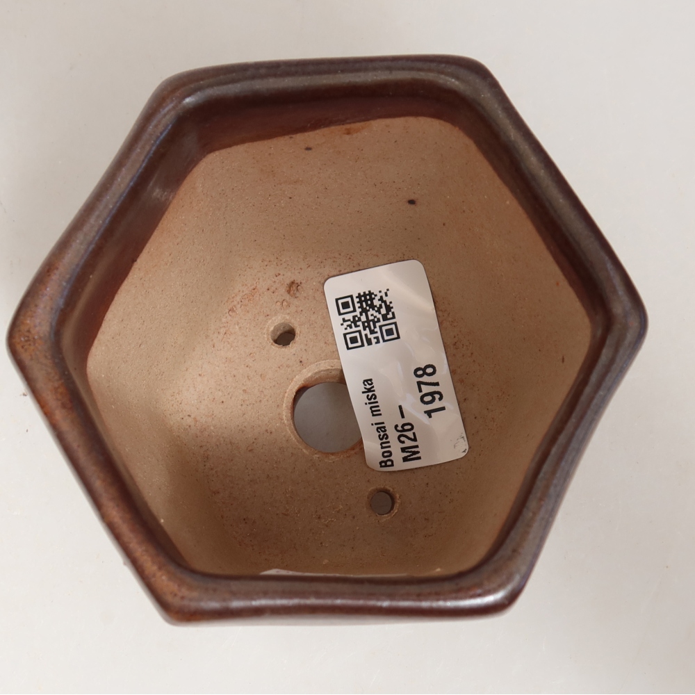 Pot à bonsaï en céramique 9 x 8,5 x 8 cm, couleur marron