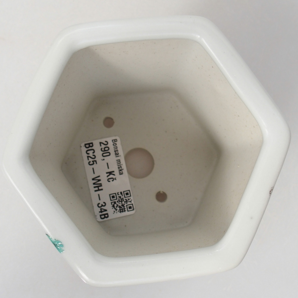 Bol à bonsaï en céramique 10,5 x 9,5 x 9 cm, couleur blanc