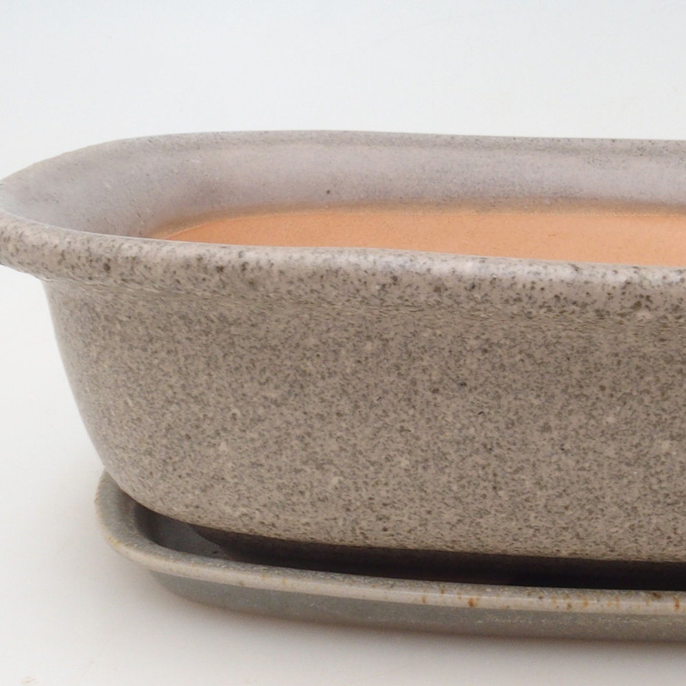 Bol bonsaï + soucoupe H09 - 30 x 23 x 7,5 cm - beige