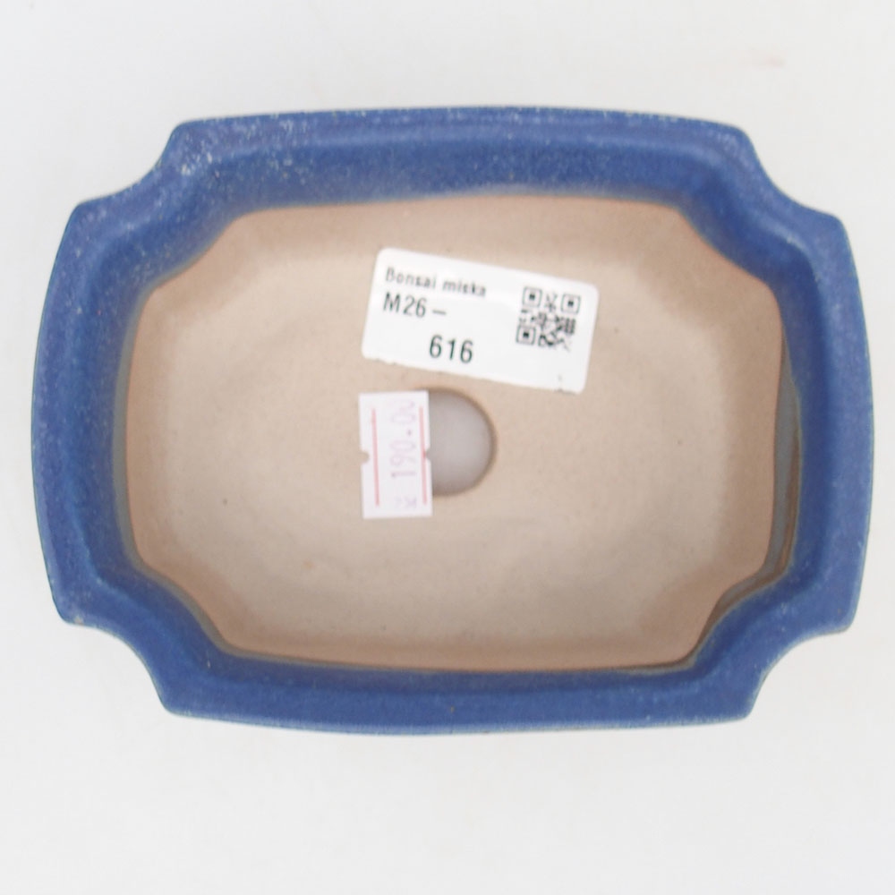 Bol à bonsaï en céramique 12,5 x 9 x 5,5 cm, couleur bleu