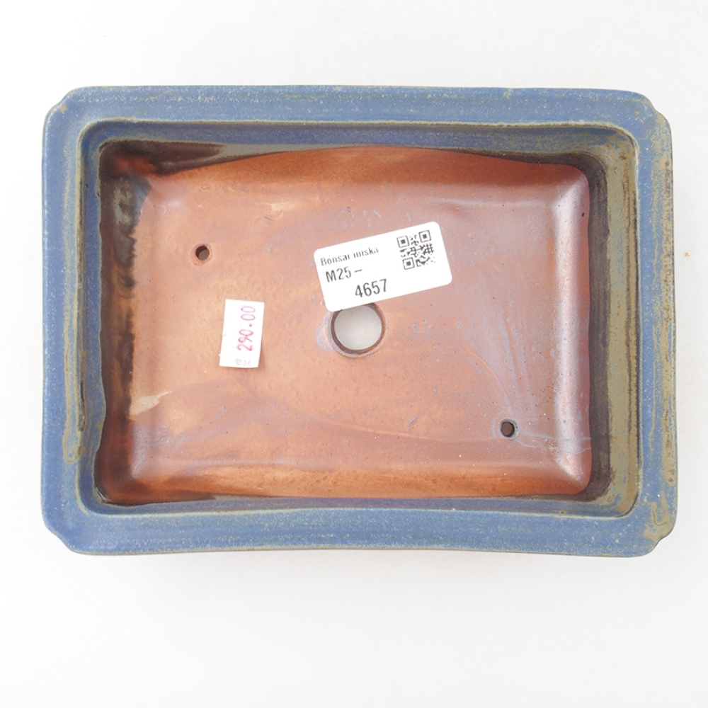 Bol à bonsaï en céramique 17,5 x 13 x 4 cm, couleur bleu