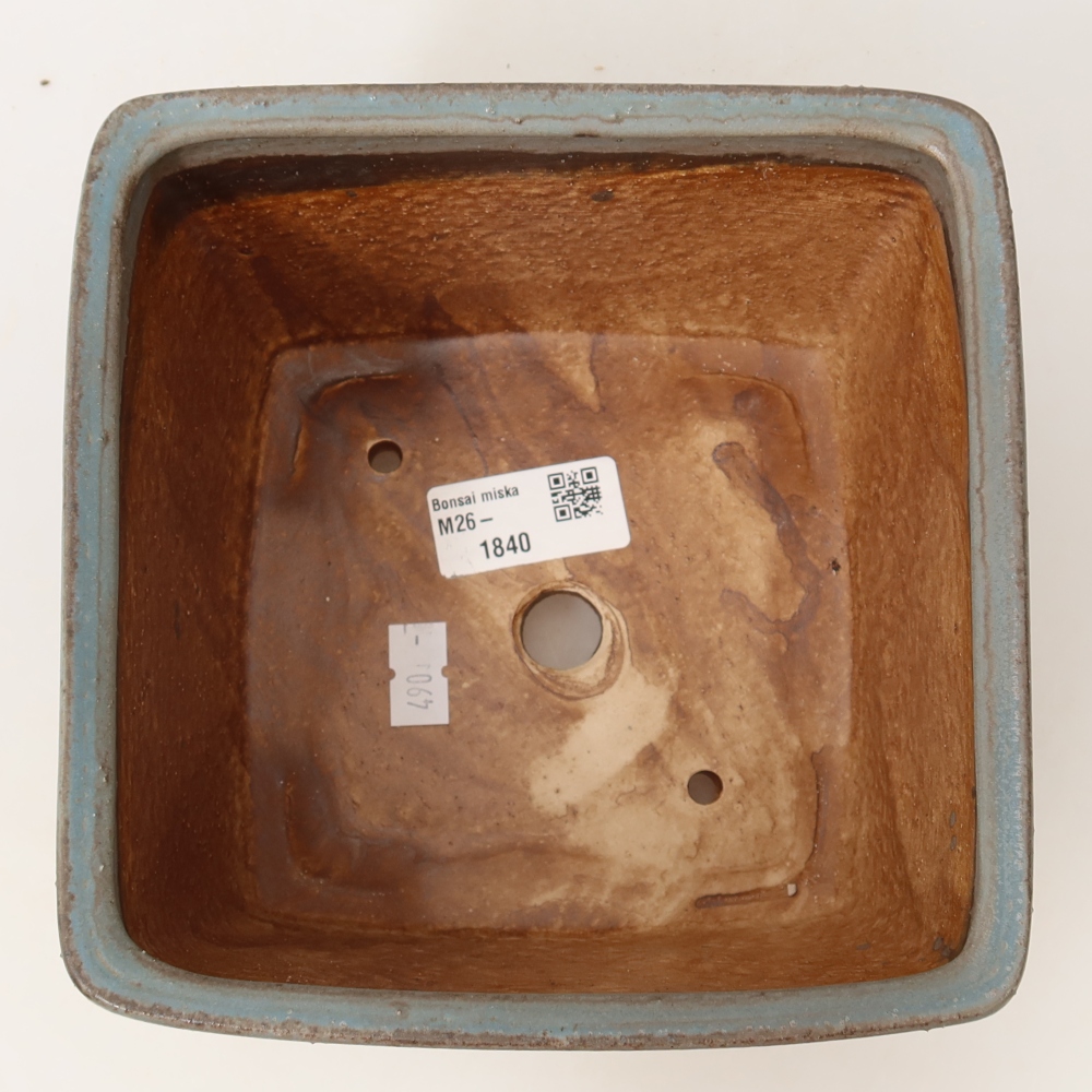 Bol à bonsaï en céramique 16 x 16 x 10 cm, couleur bleu