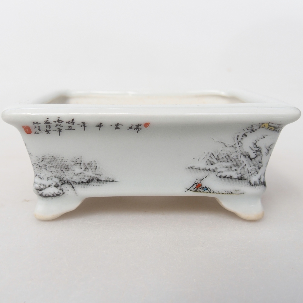 Mini bol bonsaï 8 x 6 x 3 cm, blanc