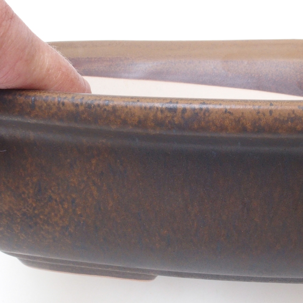 Coupe bonsaï H10 - 37 x 28 x 9 cm - marron