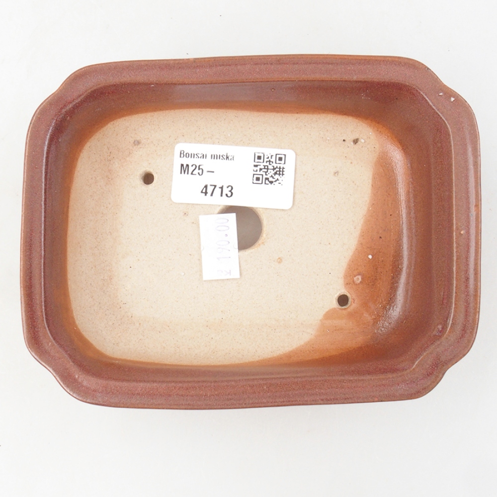 Bol à bonsaï en céramique 14 x 11 x 4 cm, bordeaux