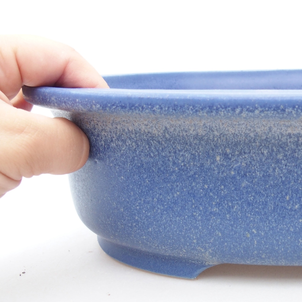 Bol à bonsaï en céramique 26 x 22 x 8 cm, couleur bleu