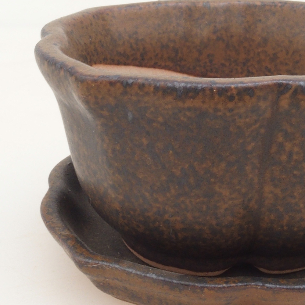 Bol Bonsaï + soucoupe H95 - brun