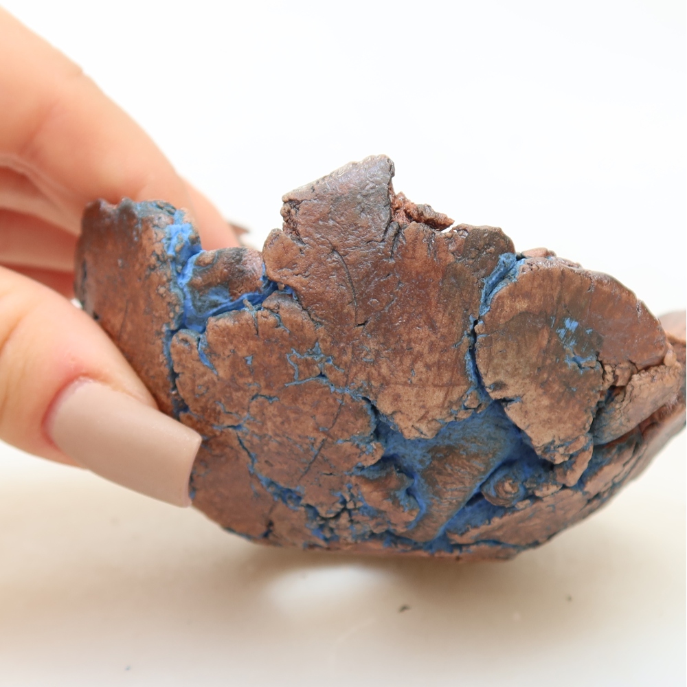 Coquille en céramique 9 x 9 x 5 cm, couleur bleue