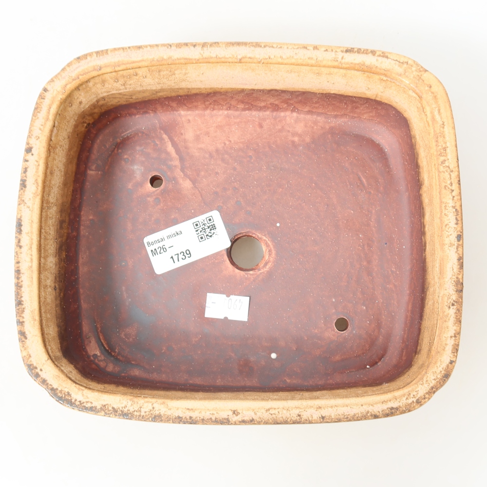 Pot à bonsaï en céramique 19,5 x 17 x 6 cm, couleur rose