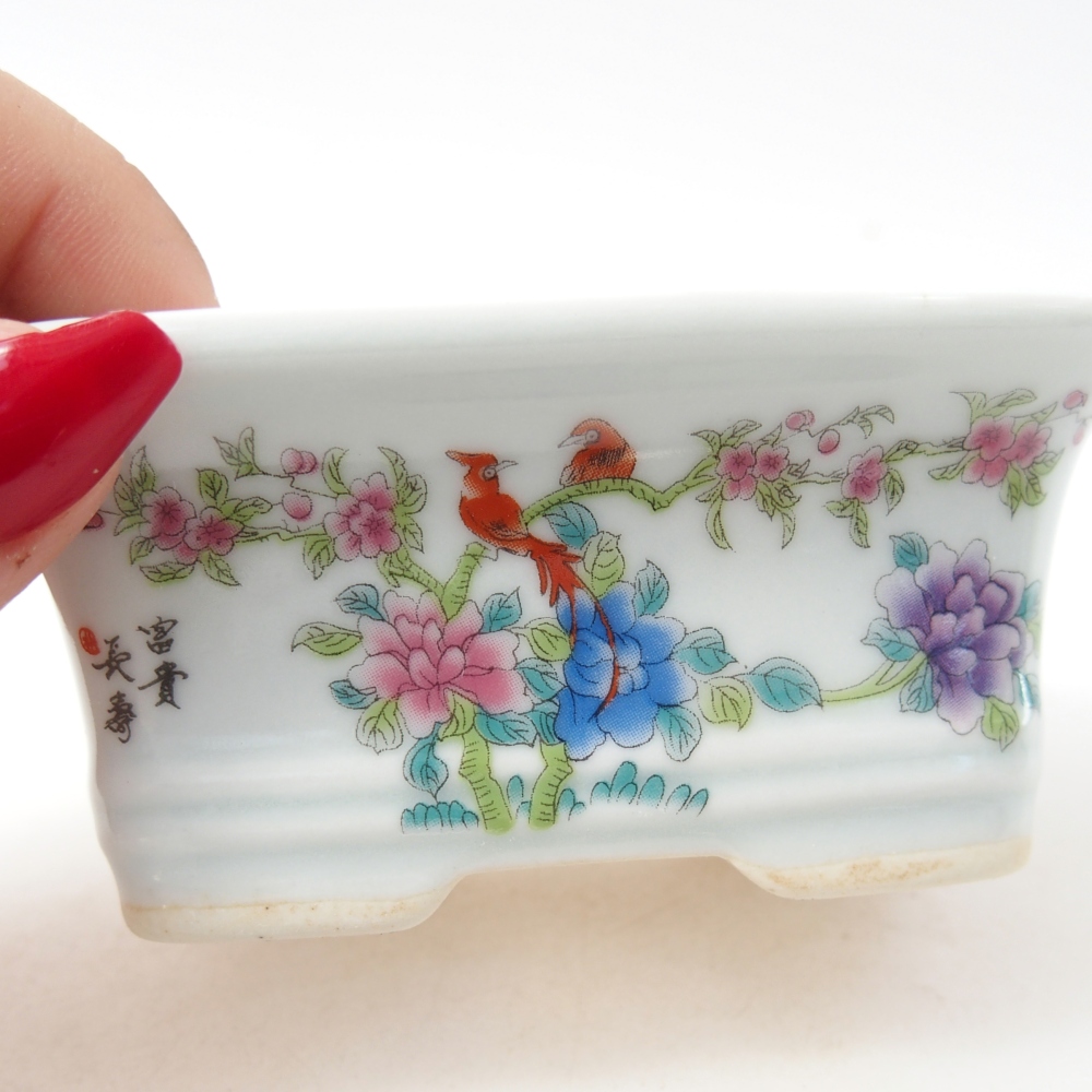 Mini bol bonsaï 10 x 7,5 x 4 cm, couleur blanc