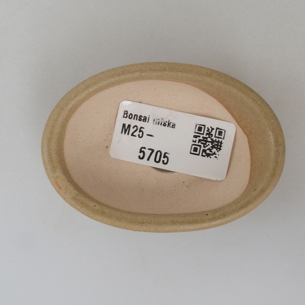 Mini bol bonsaï 7 x 5 x 2 cm, brun