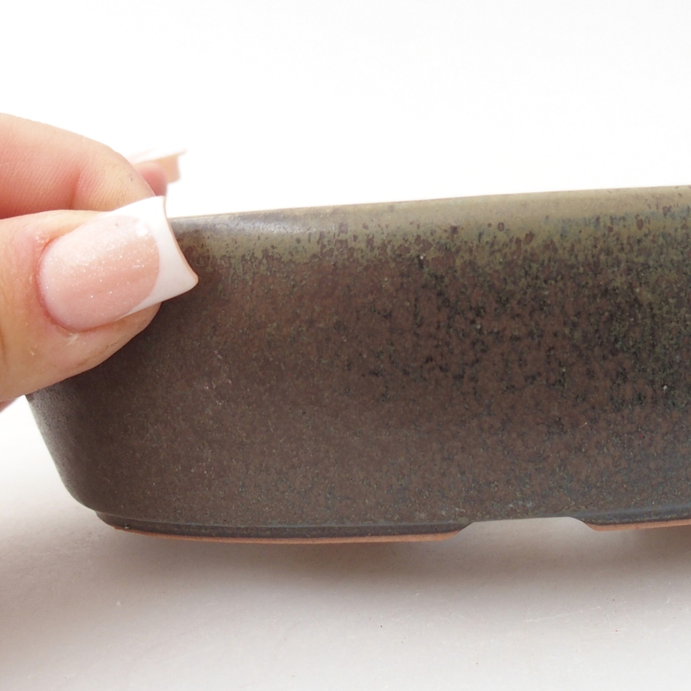 Bol à bonsaï en céramique 15 x 9,5 x 4 cm, brun