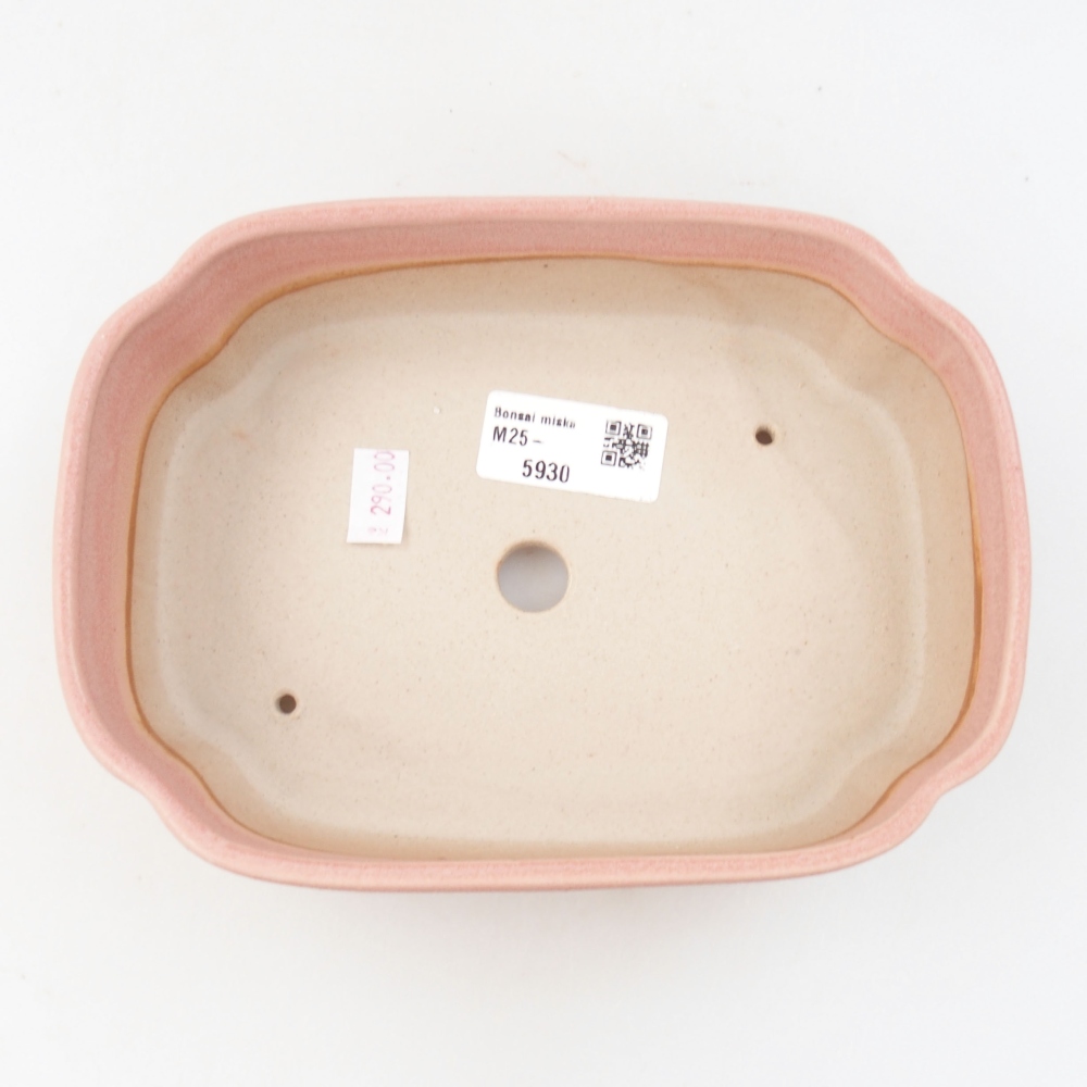 Bol à bonsaï en céramique 22 x 17 x 5 cm, vert