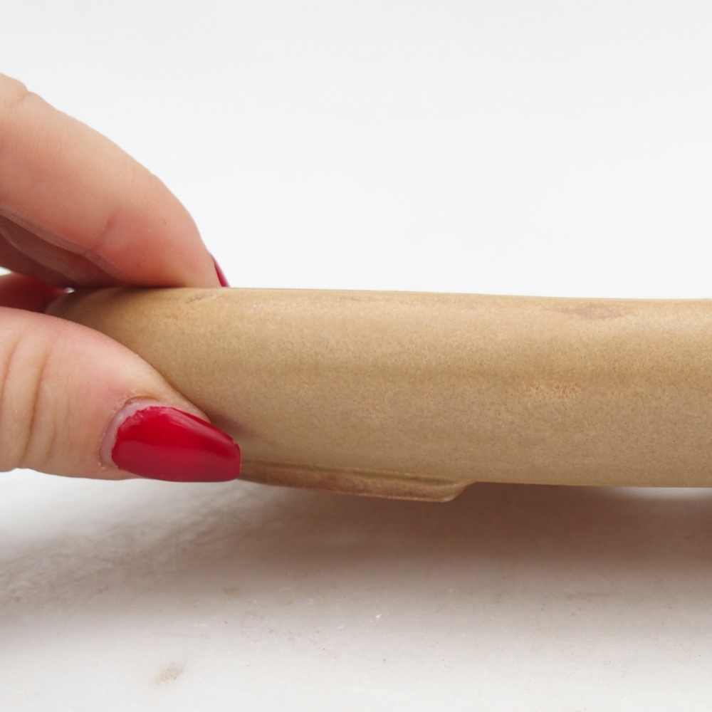 Bol à bonsaï en céramique 22 x 17 x 3 cm, couleur beige