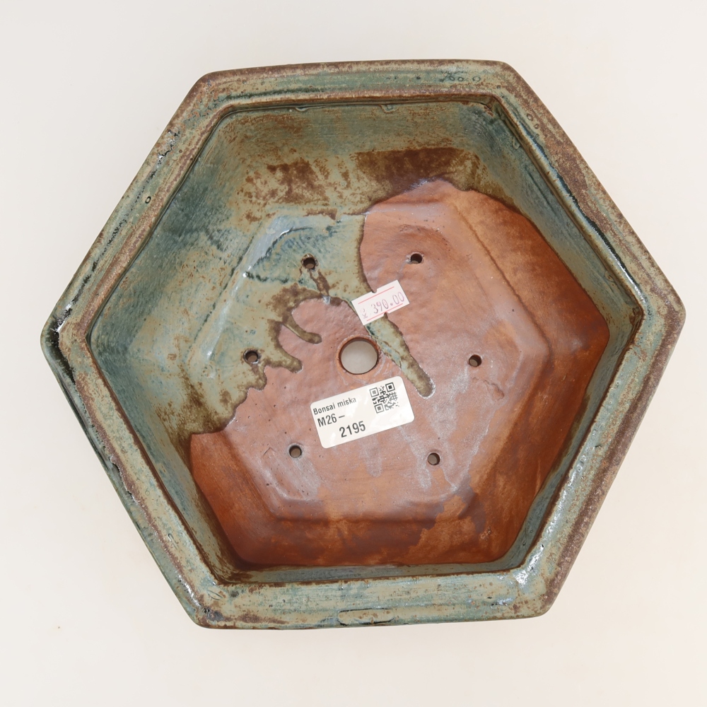 Pot à bonsaï en céramique 24 x 21,5 x 7,5 cm, couleur marron