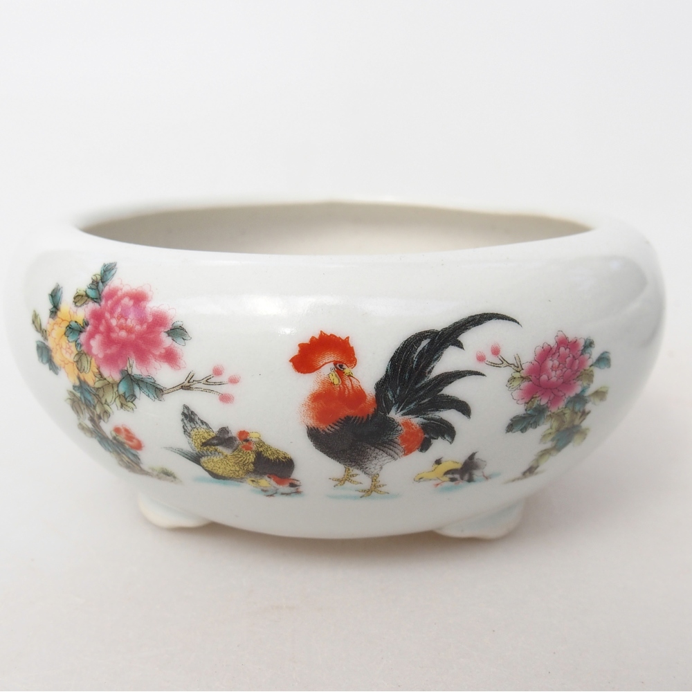 Bol à bonsaï en céramique 10 x 10 x 5 cm, couleur blanc