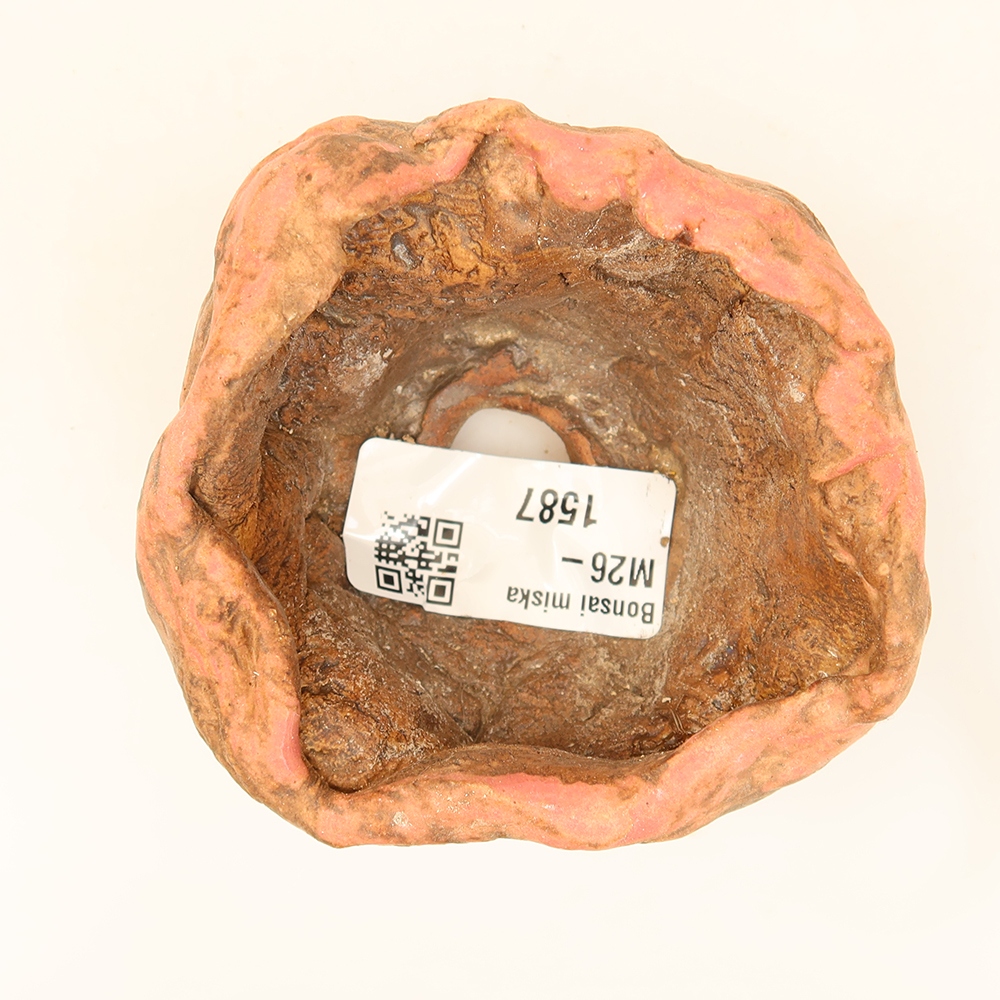 Coquille en céramique  7 x 6 x 4,5 cm , couleur rose