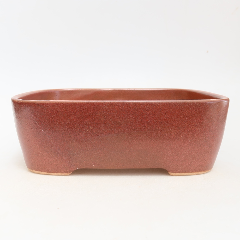 Pot à bonsaï en céramique 23 x 17,5 x 7,5 cm, couleur bordeaux