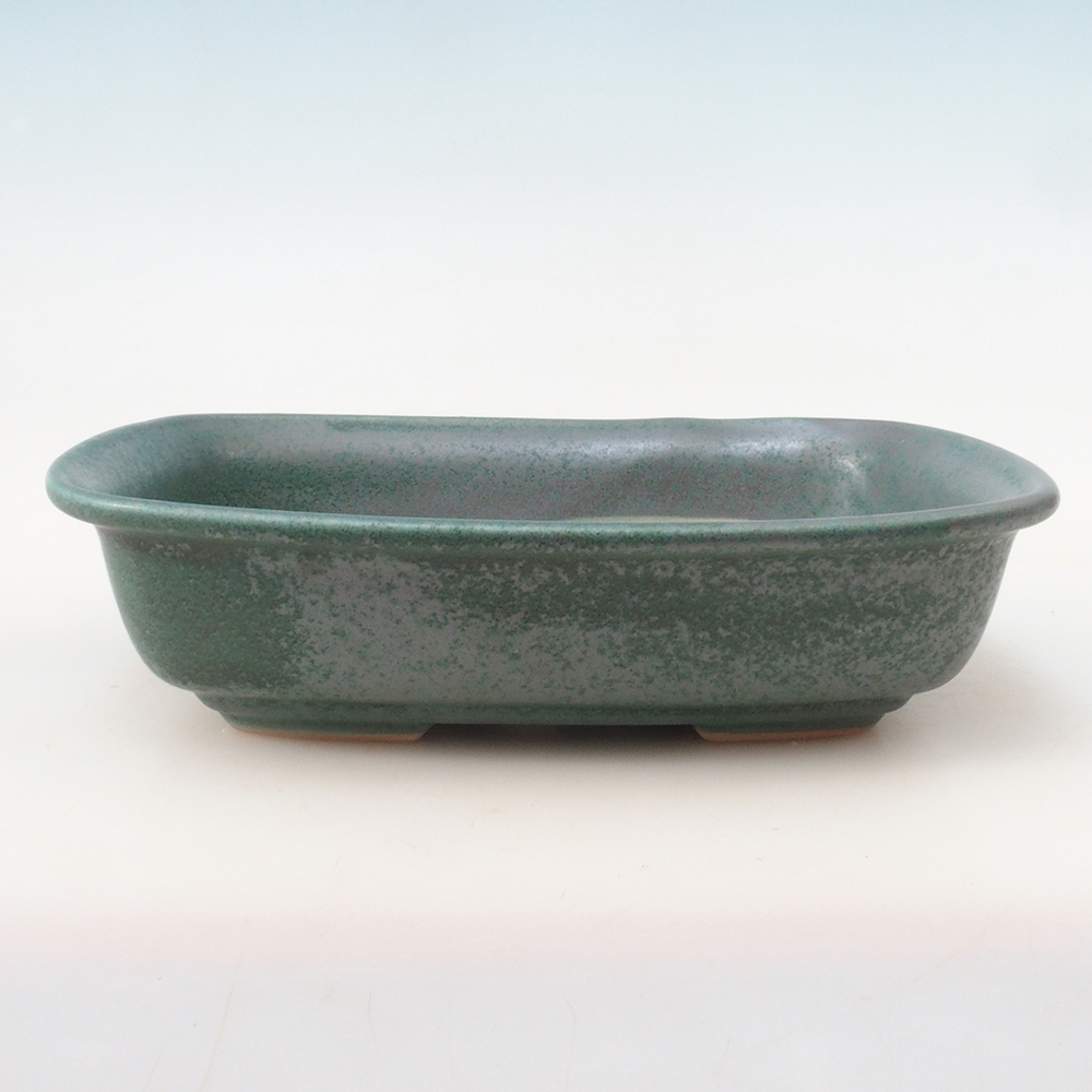 Coupe bonsaï H09 - 30 x 23 x 7,5 cm - vert
