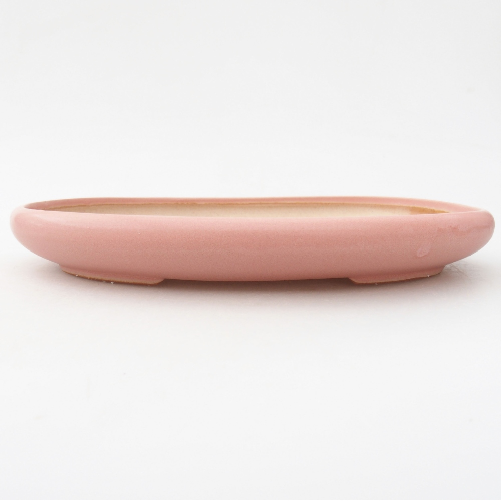 Bol à bonsaï en céramique 22 x 17 x 5 cm, vert