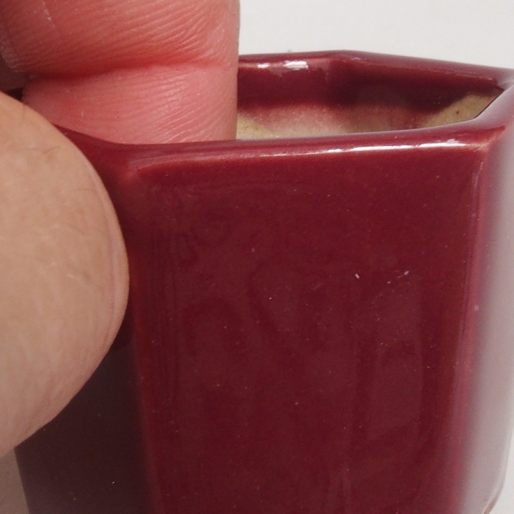 Mini bol bonsaï 4 x 4 x 3,5 cm, bordeaux