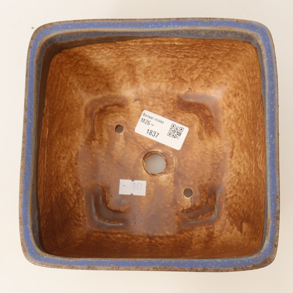 Pot à bonsaï en céramique 16,5 x 16,5 x 9,5 cm, couleur bleue