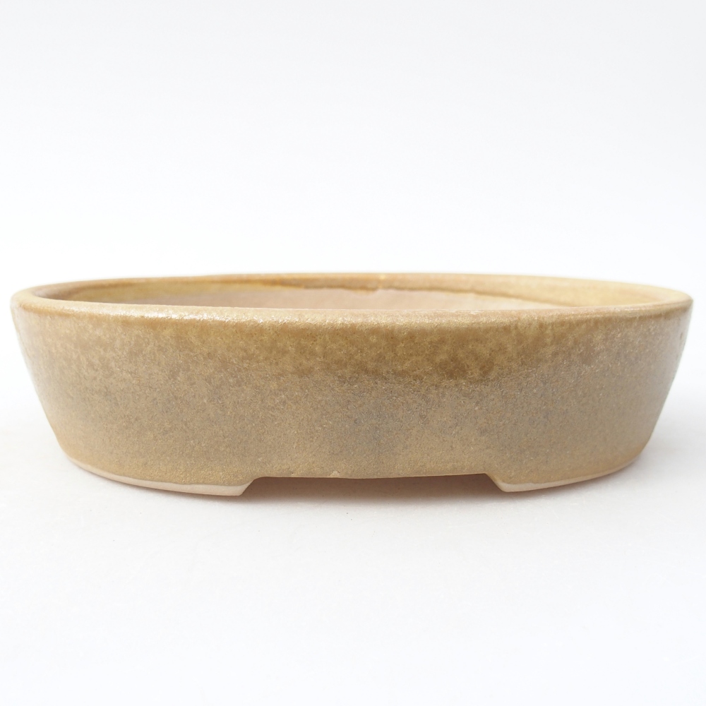 Bol à bonsaï en céramique 17 x 13,5 x 4 cm, couleur beige