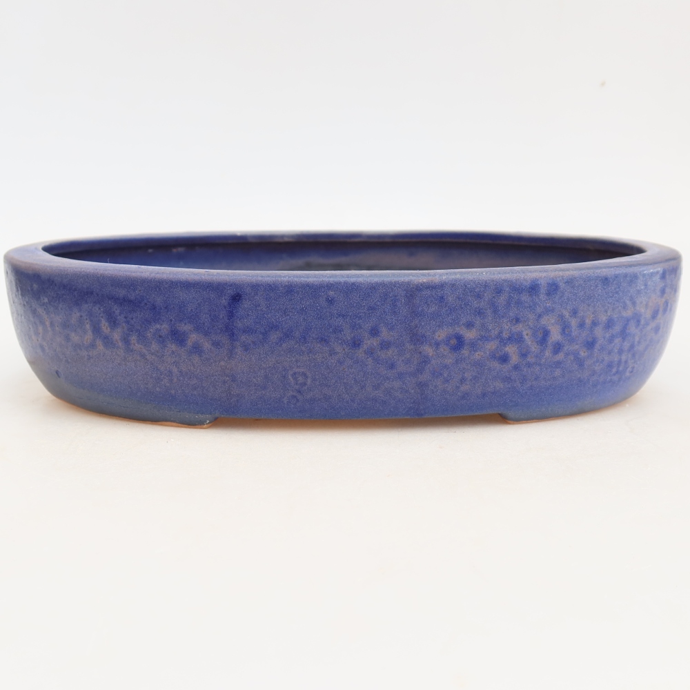 Pot à bonsaï en céramique 27 x 21 x 5,5 cm, couleur bleue