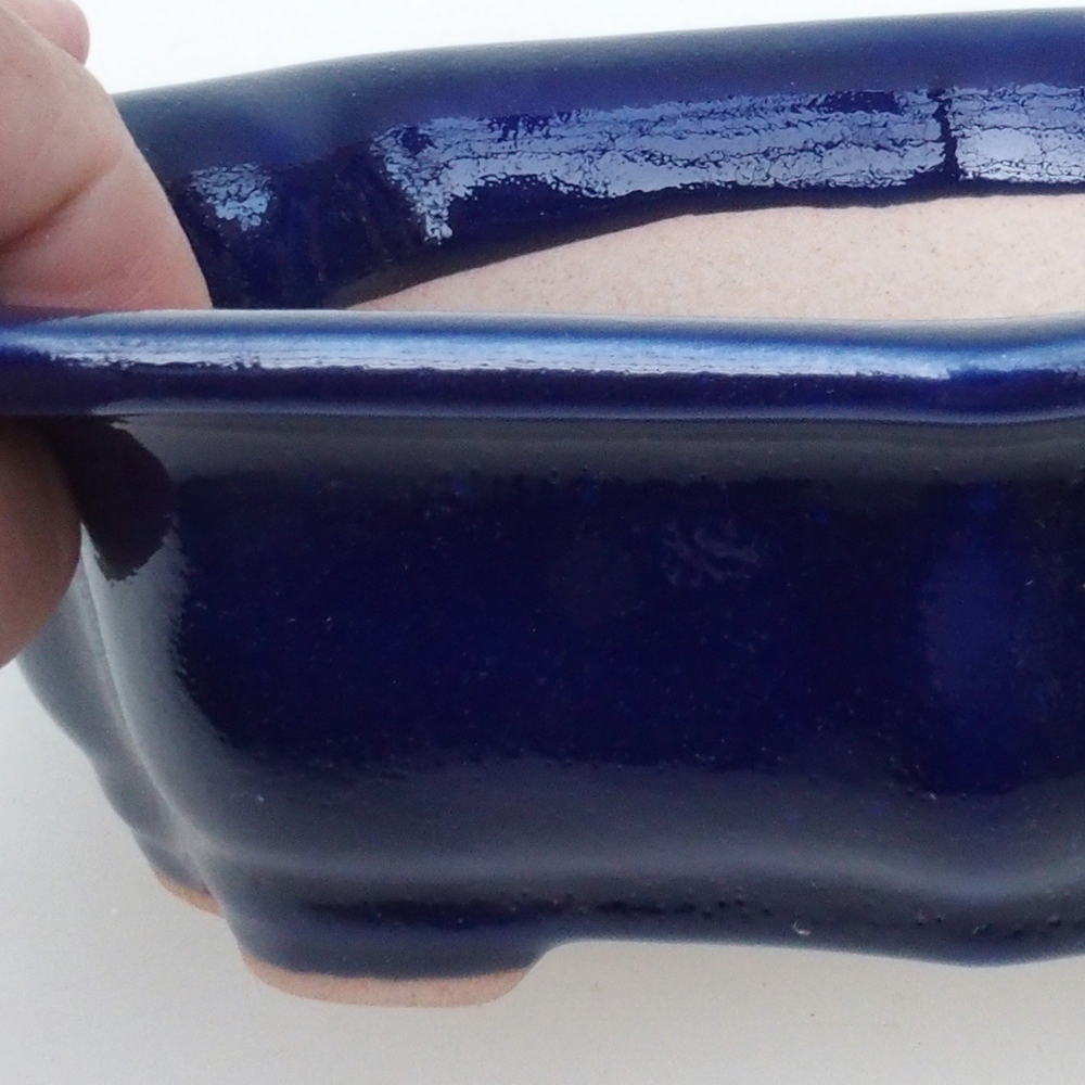 Coupe bonsaï H51 - 18 x 14 x 5 cm - bleu