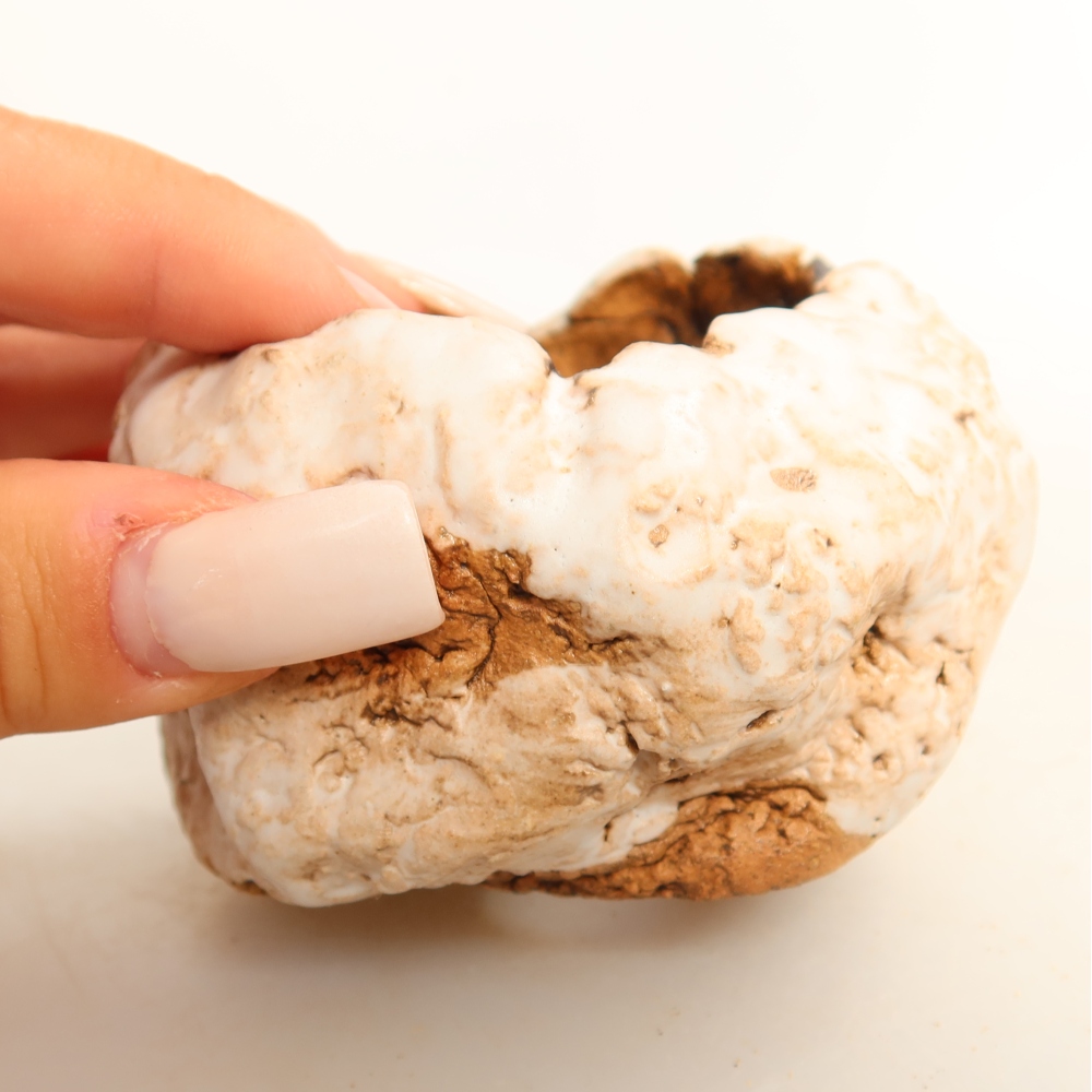 Coquille en céramique  7,5 x 7 x 6 cm, couleur blanche
