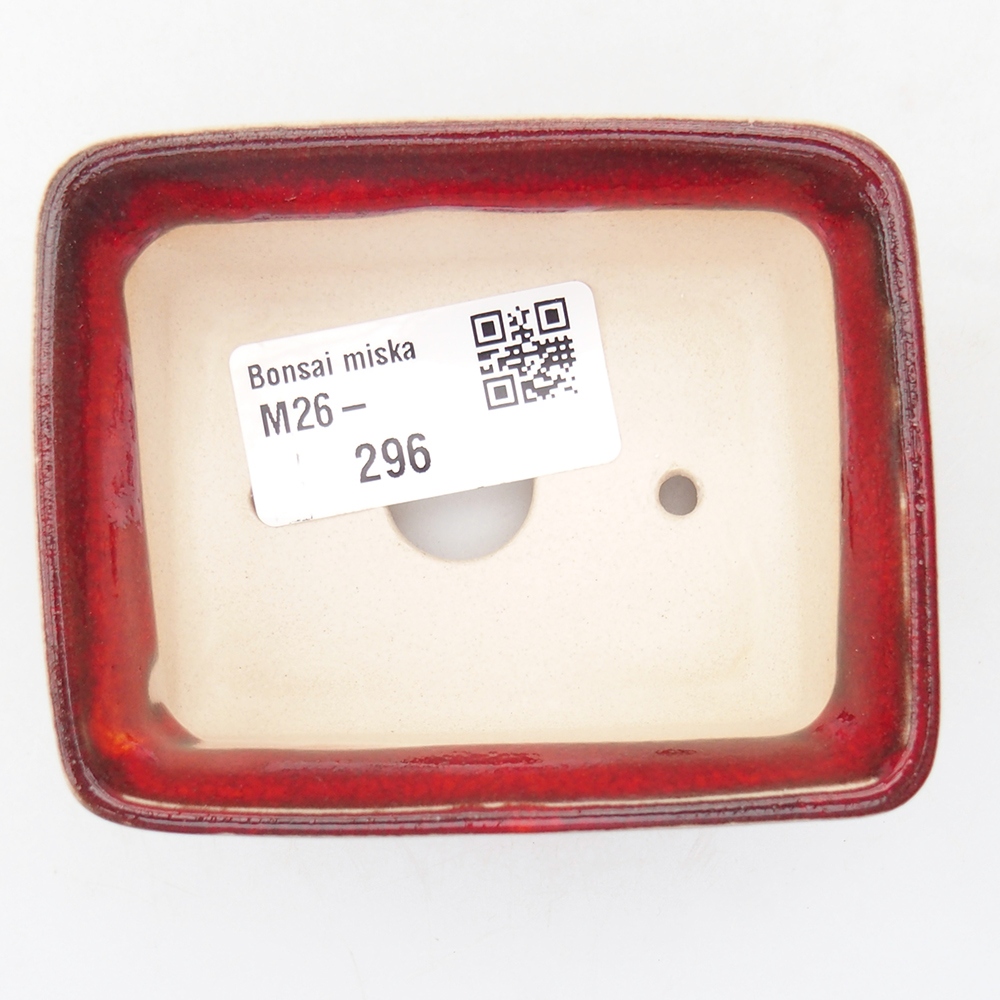 Mini bol bonsaï 8,5 x 6,5 x 3,5 cm, couleur rouge