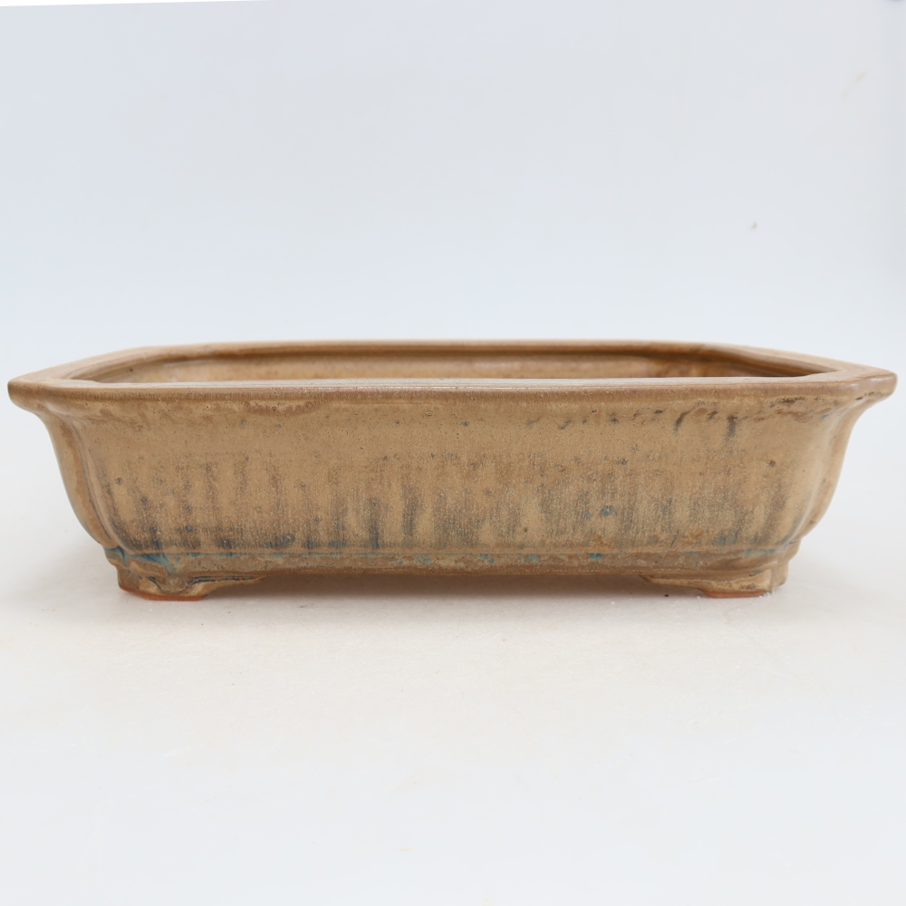 Bol à bonsaï en céramique 27,5 x 21,5 x 7 cm, couleur beige