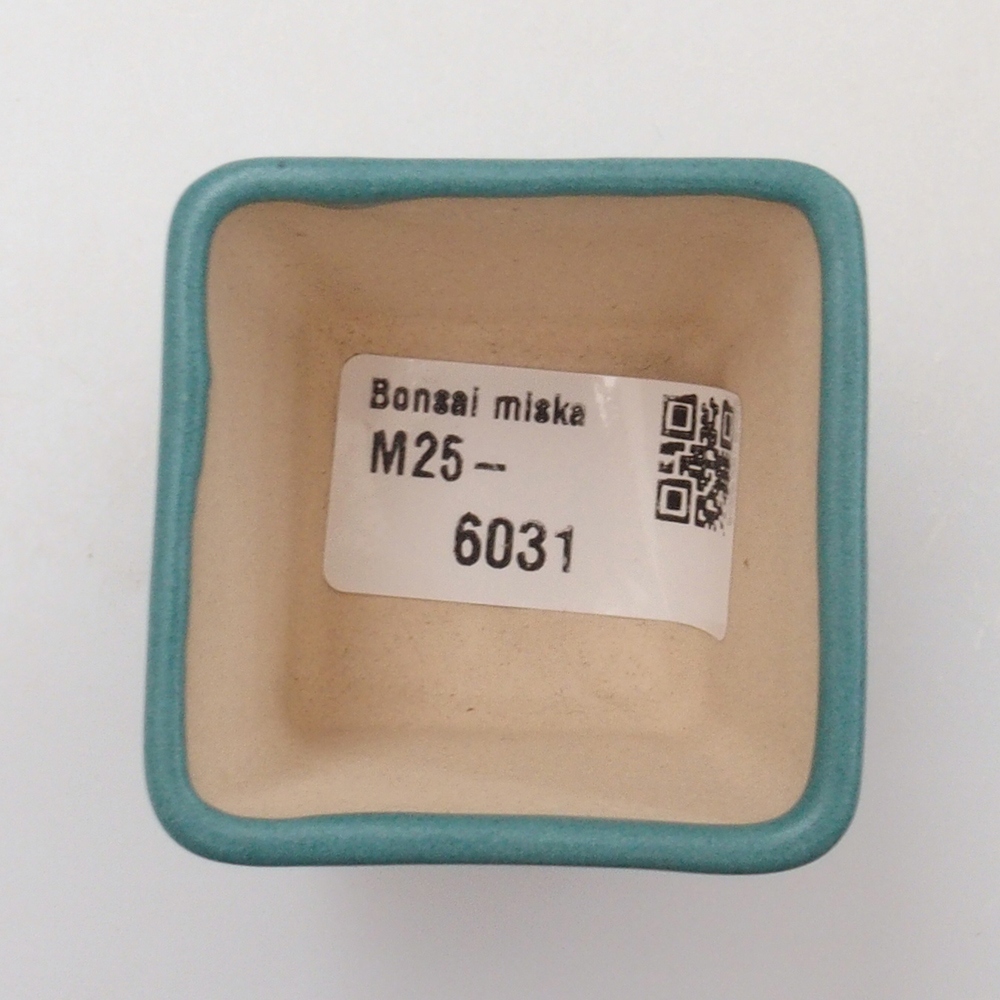 Bol à bonsaï en céramique 6,5 x 5,5 x 4 cm, couleur bleu