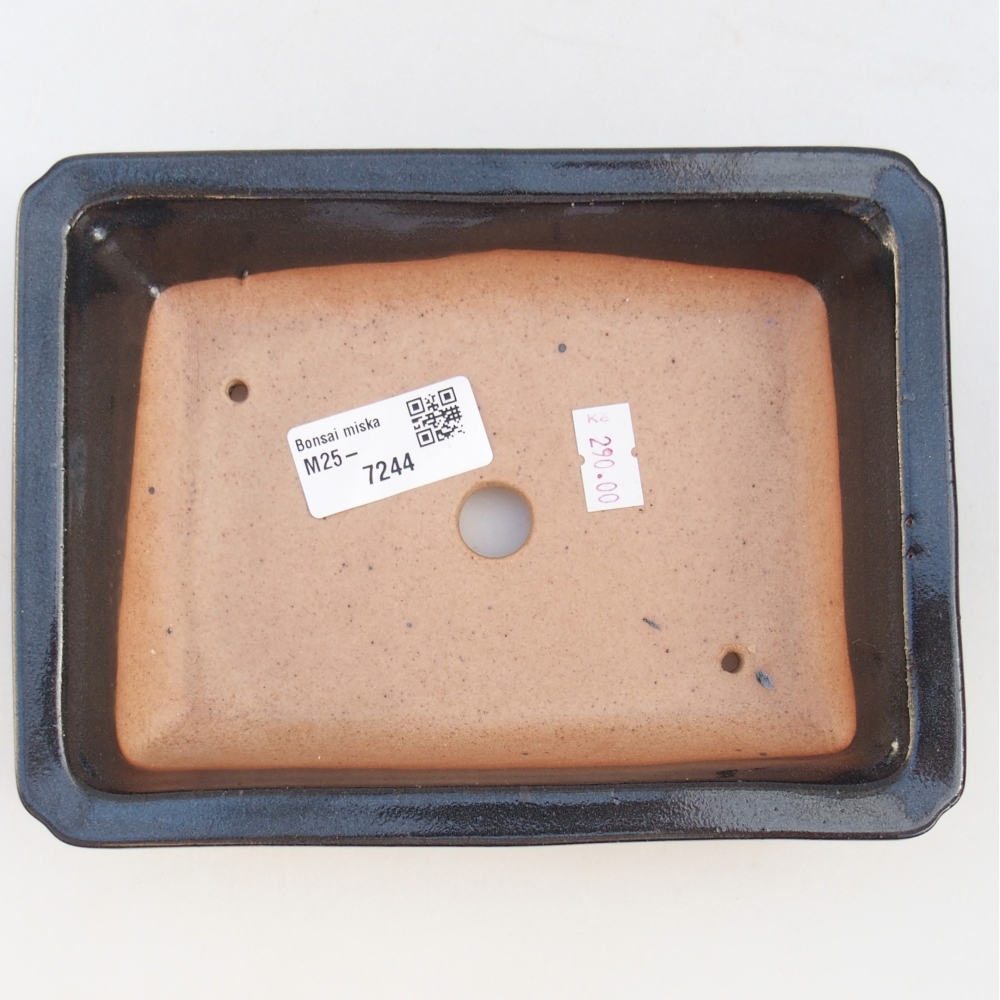 Bol à bonsaï en céramique 18 x 13,5 x 4 cm, noir