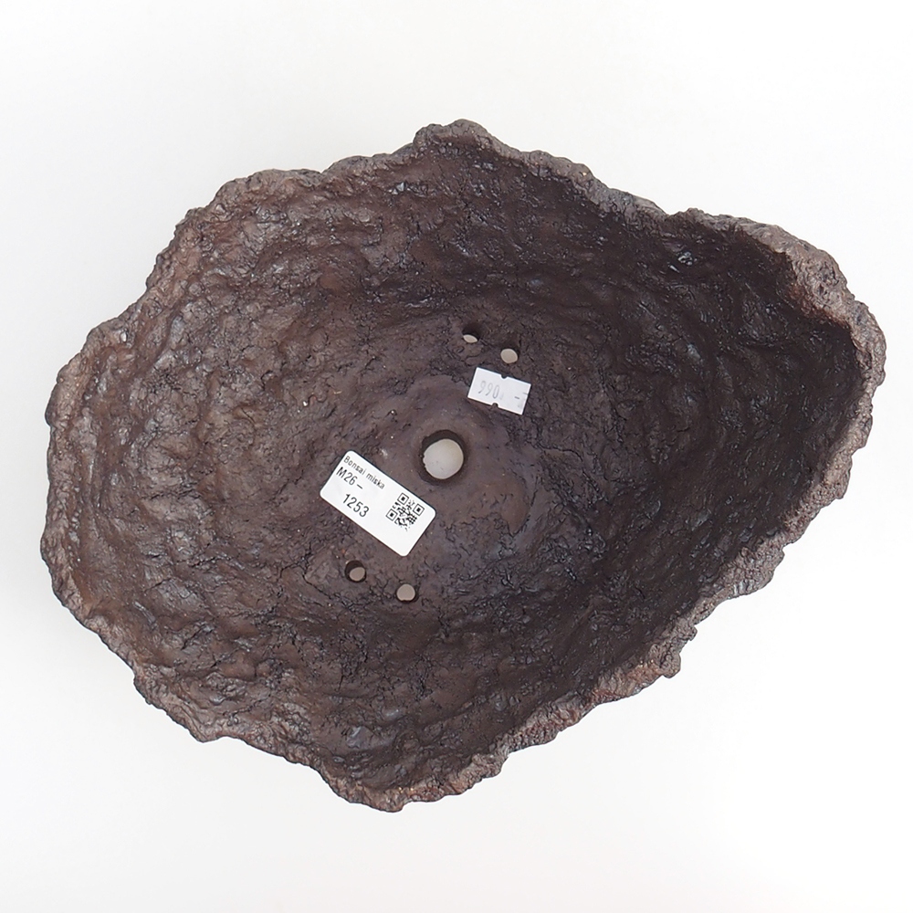 Coquille en céramique 23 x 20 x 18 cm , couleur marron