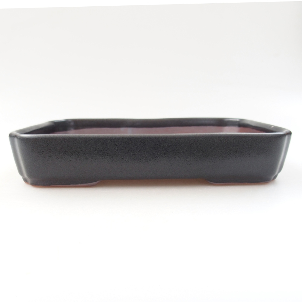 Bol à bonsaï en céramique 22 x 17 x 5 cm, vert