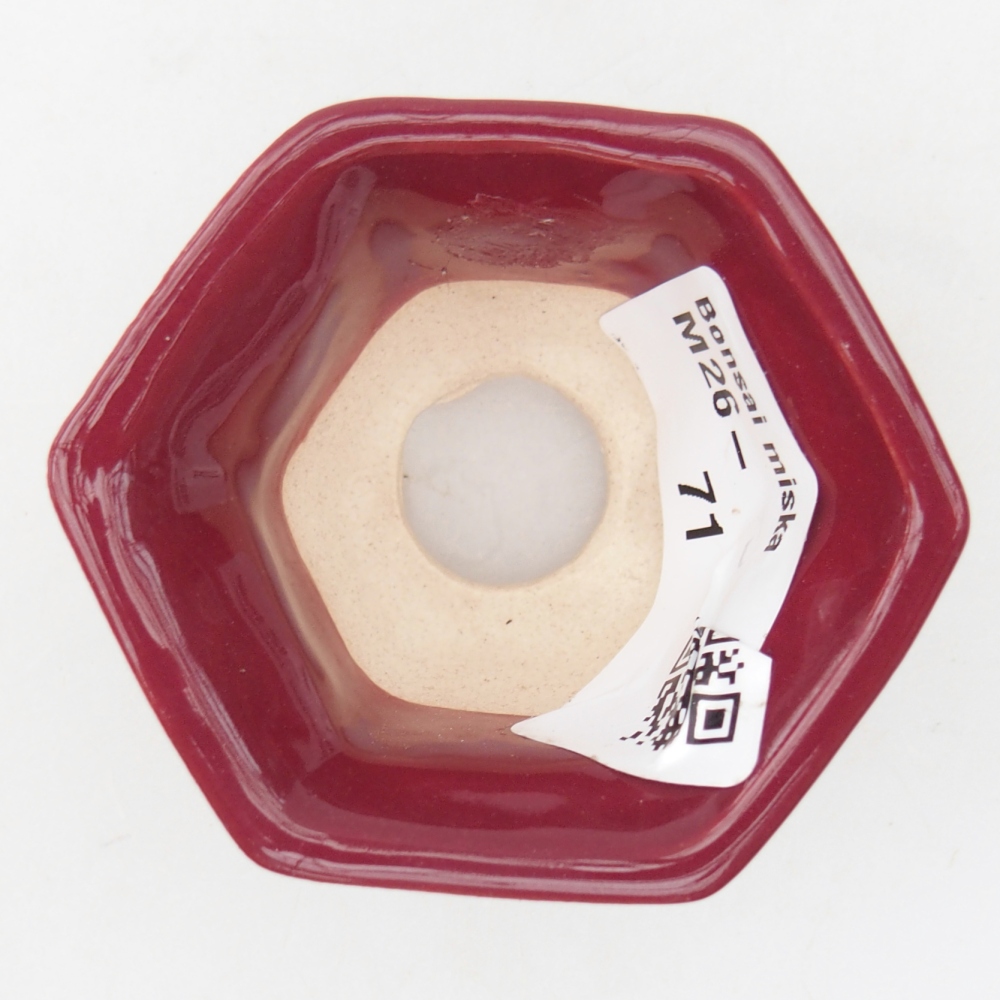 Mini bol bonsaï 5,5 x 5 x 3 cm, bordeaux