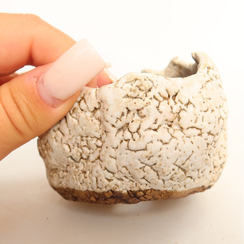 Coquille en céramique  7 x 7 x 6 cm, couleur blanche