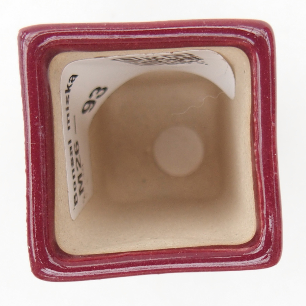 Mini bol bonsaï 3 x 3 x 5,5 cm, bordeaux