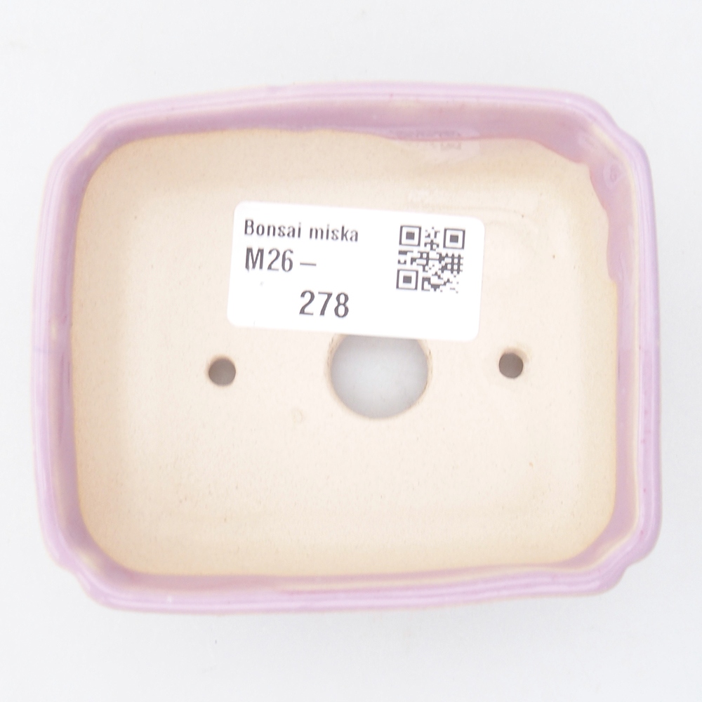 Mini bol bonsaï 8,5 x 7,5 x 3 cm, rose