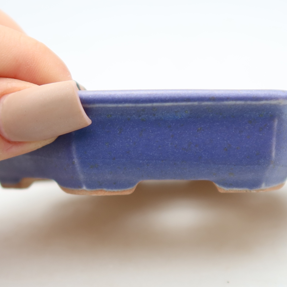 Pot à bonsaï en céramique 11,5 x 11,5 x 2,5 cm, couleur violette