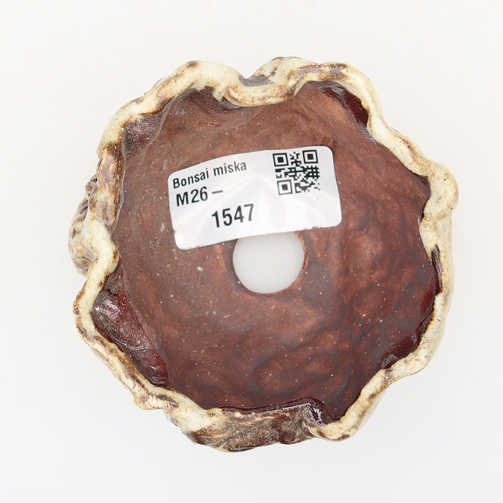 Coquille en céramique  7 x 7 x 5 cm, couleur brun-blanc