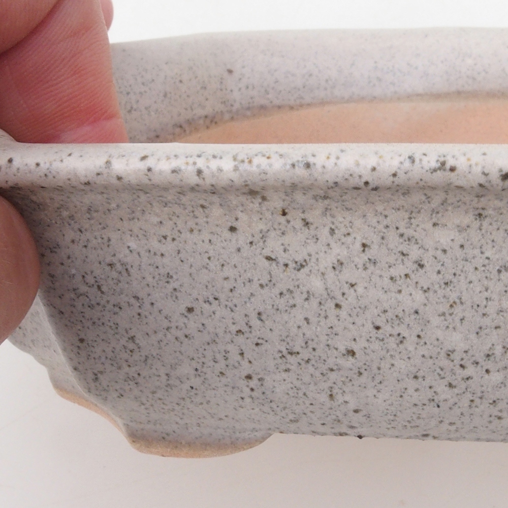 Coupe bonsaï H17 - 15 x 10 x 4 cm - beige