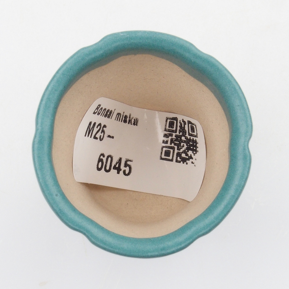 Bol à bonsaï en céramique 6,5 x 5,5 x 4 cm, couleur bleu