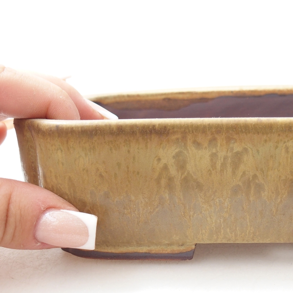 Bol à bonsaï en céramique 17,5 x 14 x 5 cm, vert