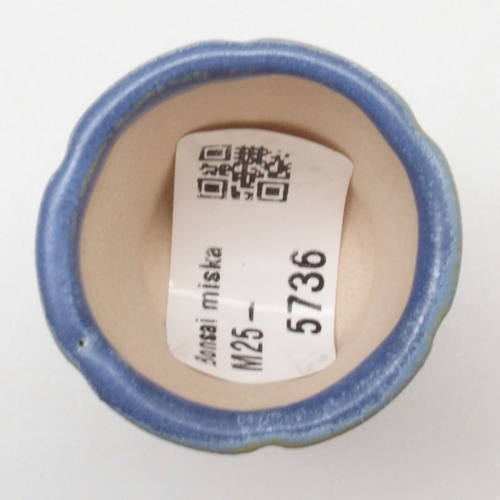 Mini bol bonsaï 3,5 x 3,5 x 4 cm, couleur bleu