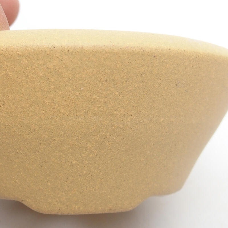 Coupe bonsaï 10,5 x 10,5 x 4,5 cm, couleur ocre